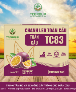 GIỐNG CHANH LEO ĐÀI NÔNG TC83