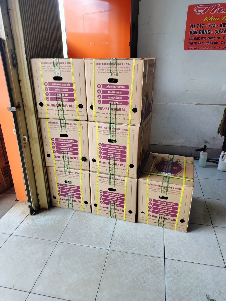 Giống Đài Nông TC83 giao đến khách hàng