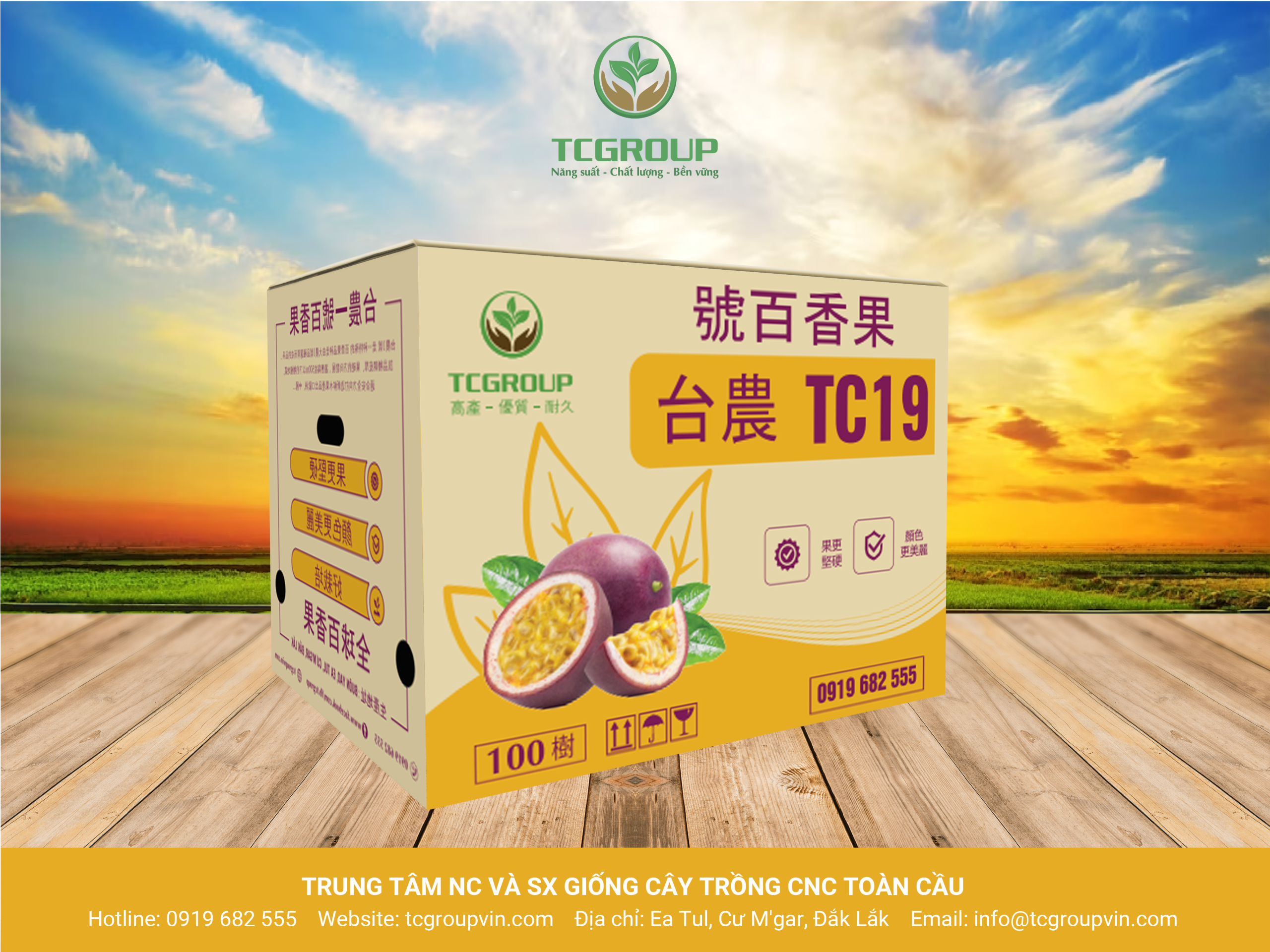 TNO TC19-02
