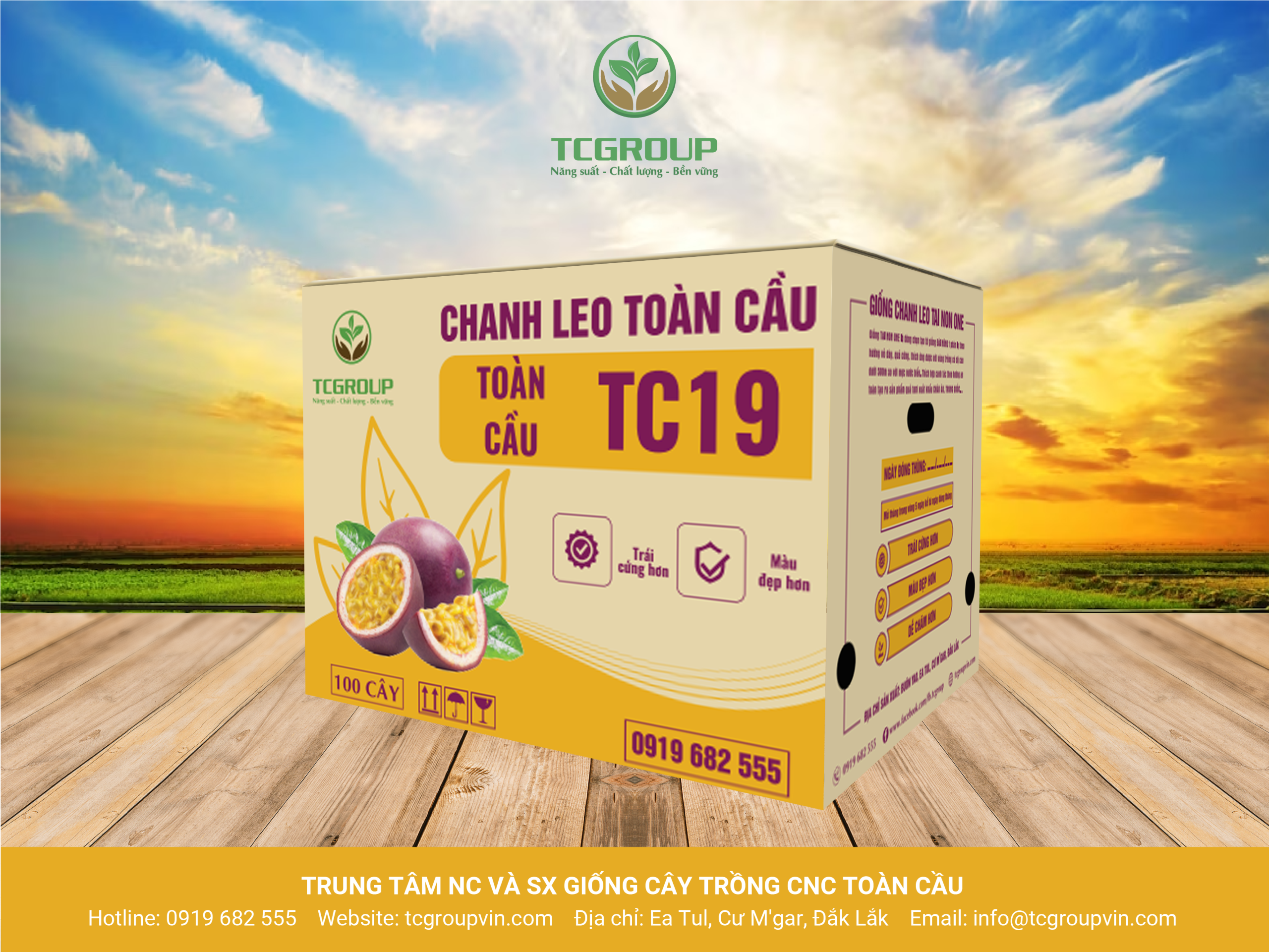 TNO TC19-03