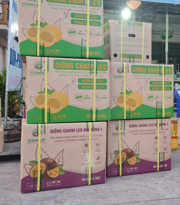 Giống chanh leo vàng Khâm Mật TC21 giao đến khách hàng