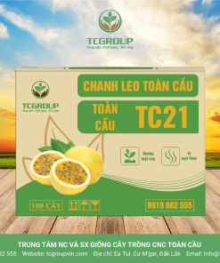 GIỐNG CHANH LEO VÀNG NGỌT KHÂM MẬT TC21