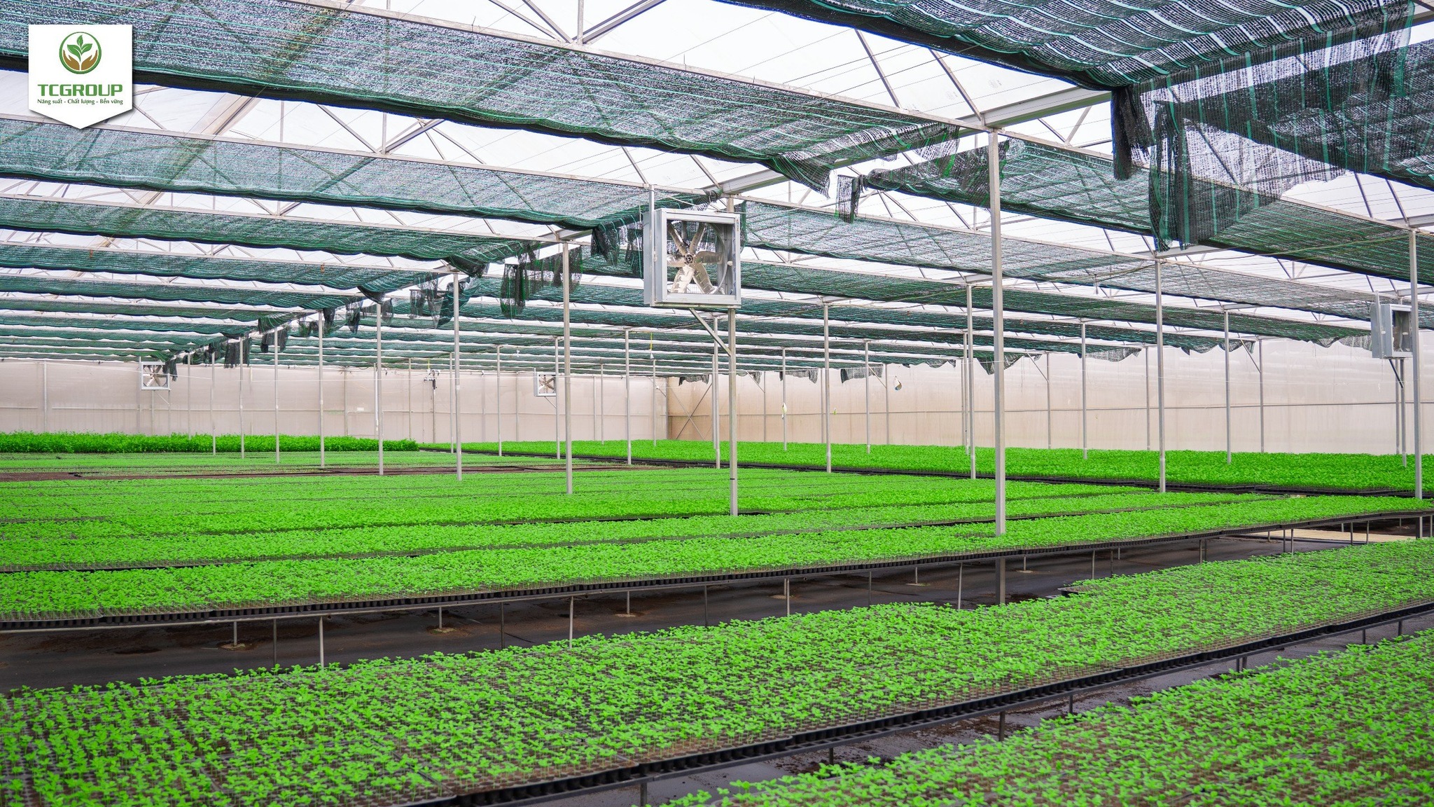 Trung tâm nc và sx giống cây trồng cnc Toàn Cầu