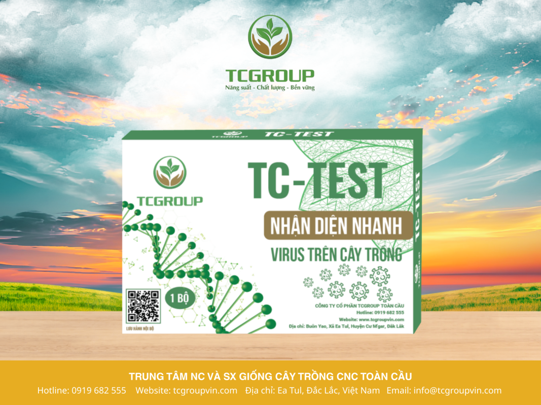 kit test virus