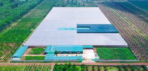 TRUNG TÂM NC VÀ SX GIỐNG CÂY TRỒNG CNC TOÀN CẦU