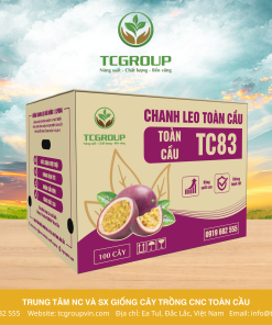 GIỐNG CHANH LEO ĐÀI NÔNG TC83
