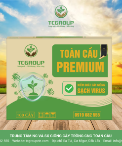 https://tcgroupvin.com/wp-content/uploads/2025/05/TC25-Premium-01-scaled.png