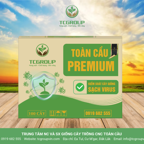 https://tcgroupvin.com/wp-content/uploads/2025/05/TC25-Premium-01-scaled.png