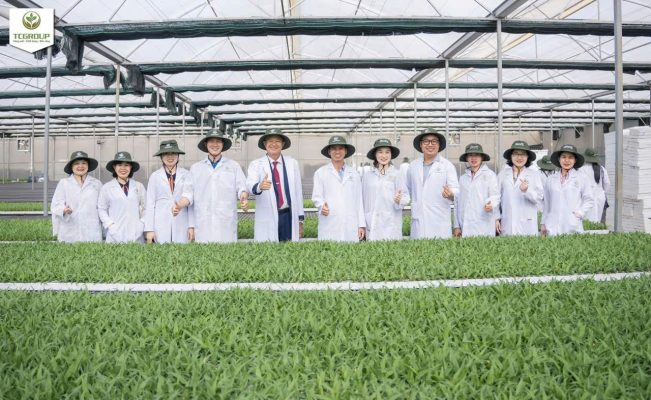 Công ty Cổ phần TCGROUP