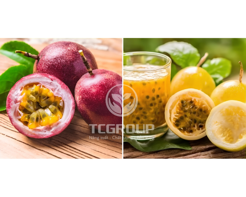 giống chanh dây vàng và chanh dây tím