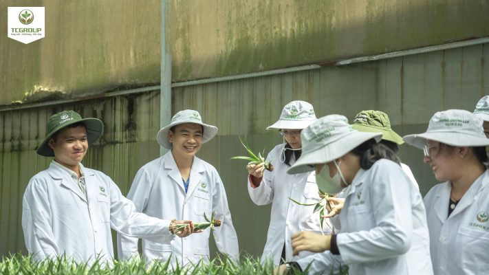TCGROUP Toàn Cầu, virus trên cây chanh leo, cây chanh leo, TCGROUP Toàn Cầu làm việc cùng đoàn chuyên gia New Zealand về kiểm soát virus trên cây chanh leo.