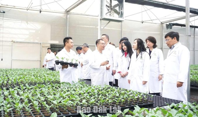 Mô hình vườn ươm cây giống công nghệ cao