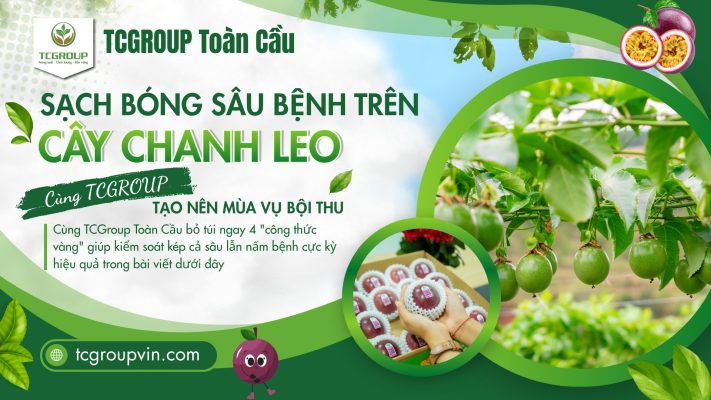 phòng trừ sâu bệnh cho cây chanh leo