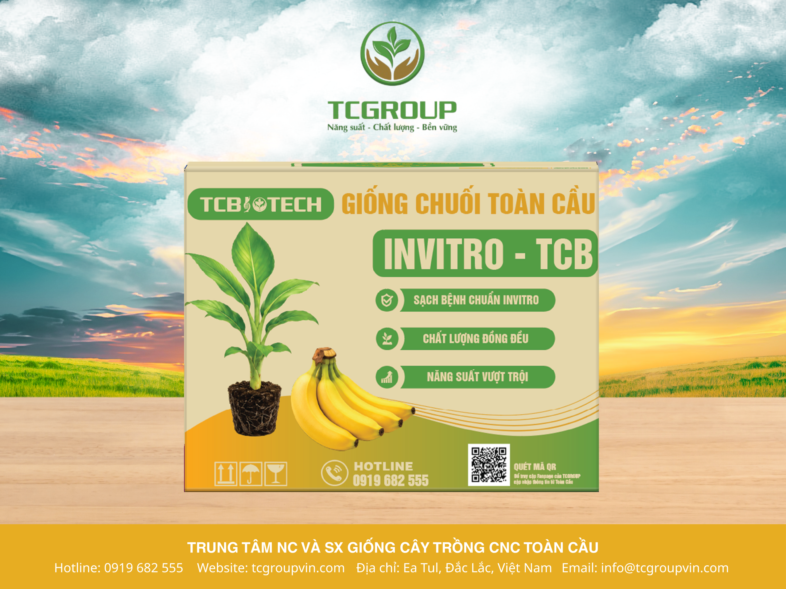 GIỐNG CHUỐI GIÀ NAM MỸ