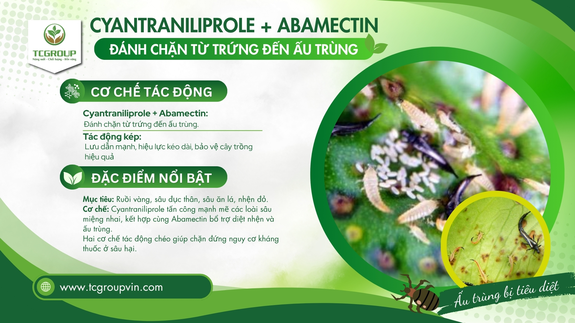 Cyantraniliprole + Abamectin kết hợp phòng trừ sâu bệnh cho cây chanh leo