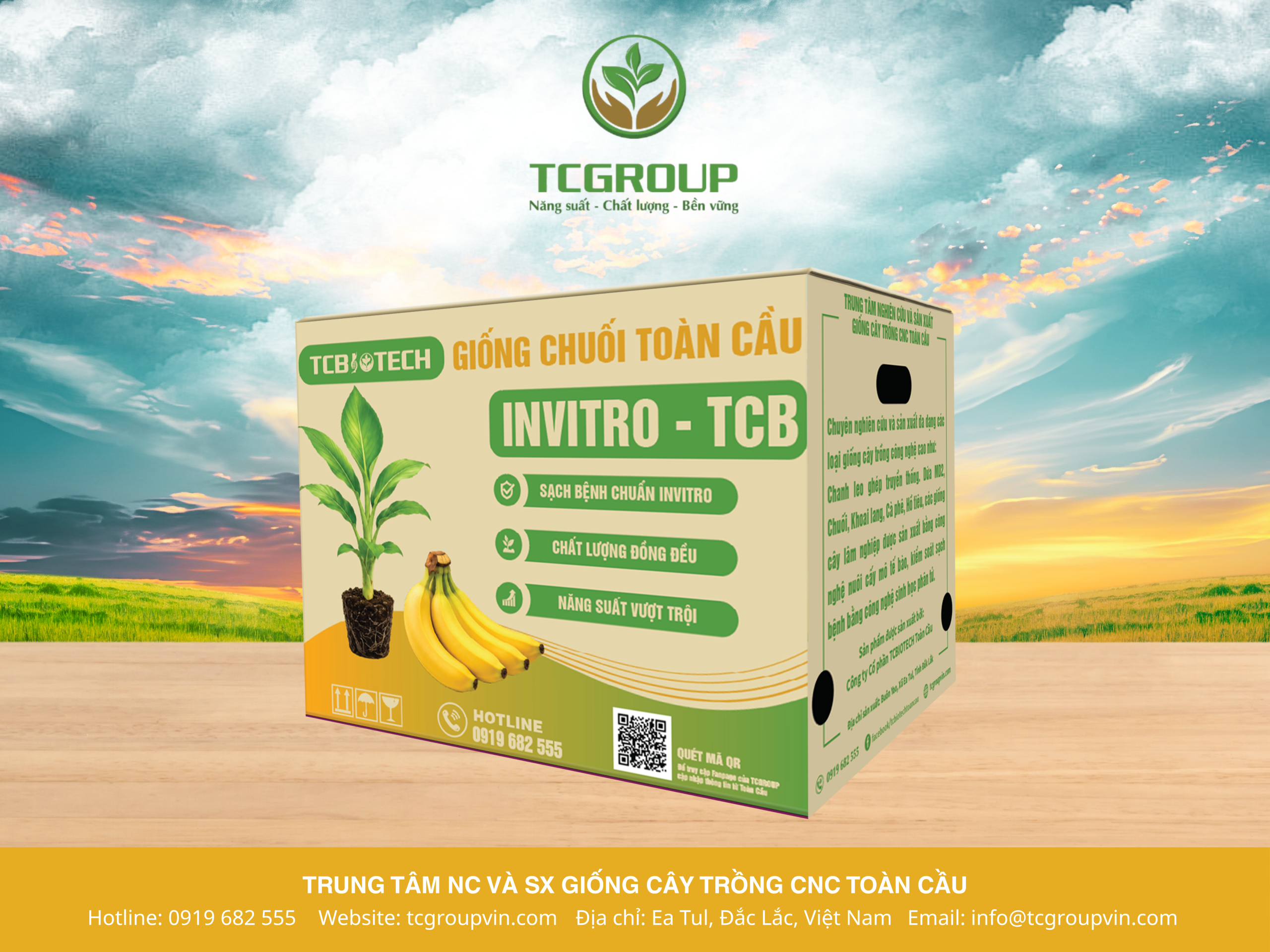20 GIỐNG CHUỐI GIÀ NAM MỸ DO TCGROUP SẢN XUẤT
