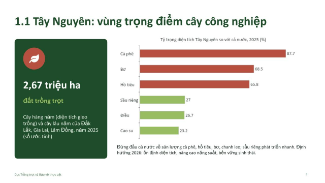 Cục Trồng trọt và Bảo vệ thực vật (thống kê năm 2025)