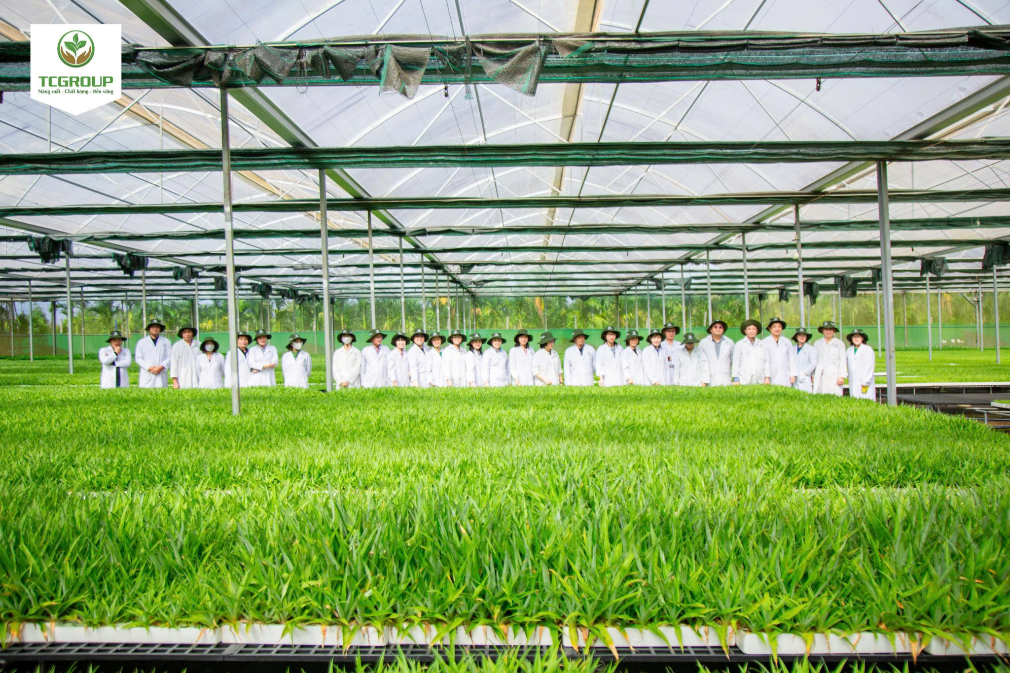 Đoàn tham quan tại trung tâm nghiên cứu và sản xuất giống cây trồng công nghệ cao Toàn Cầu