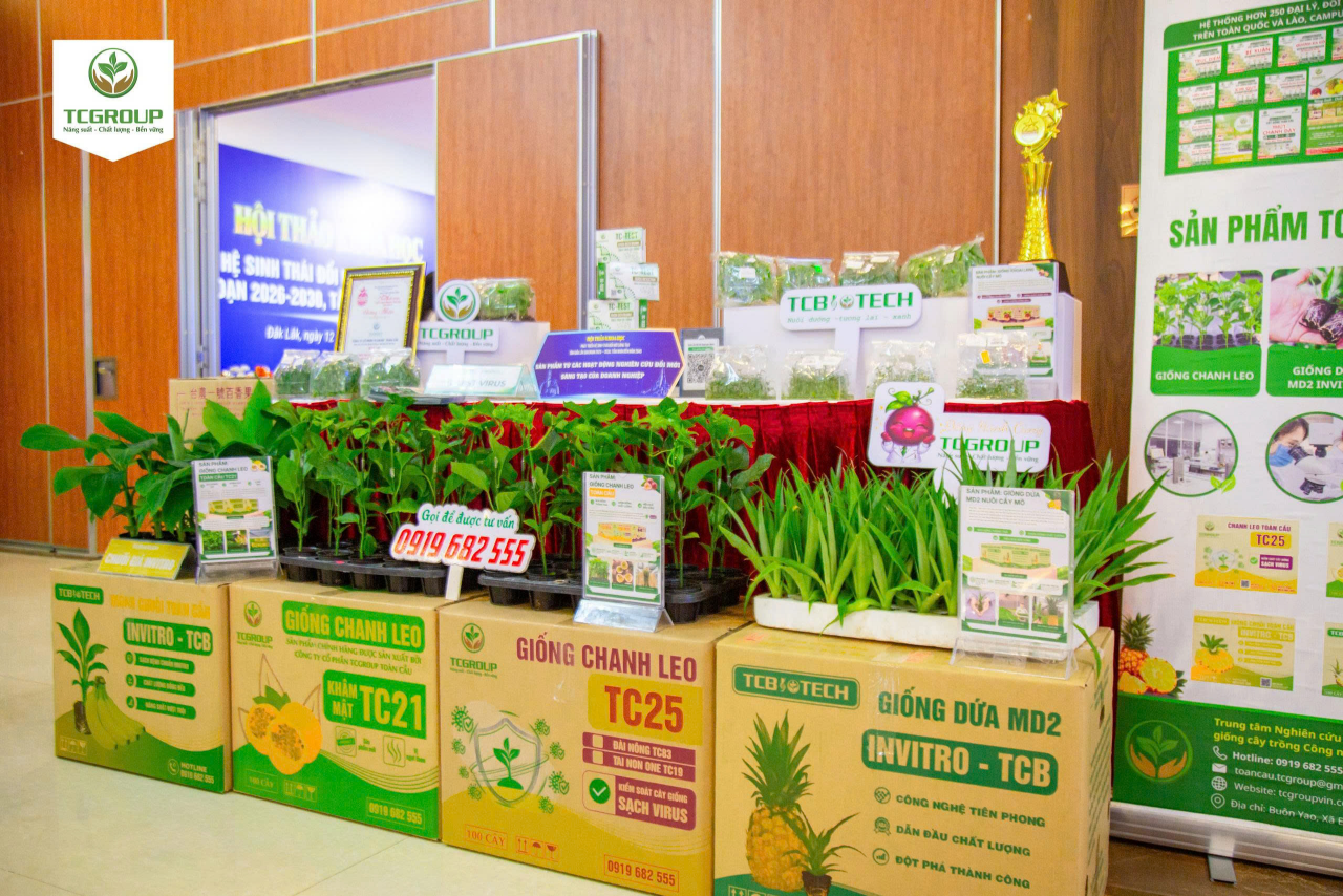 gian hàng trưng bày của TCGROUP