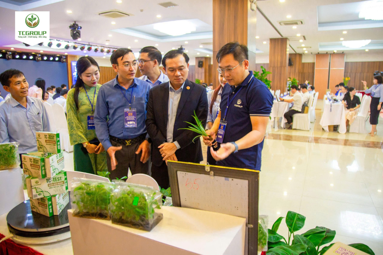 TCGROUP giới thiệu sản phẩm