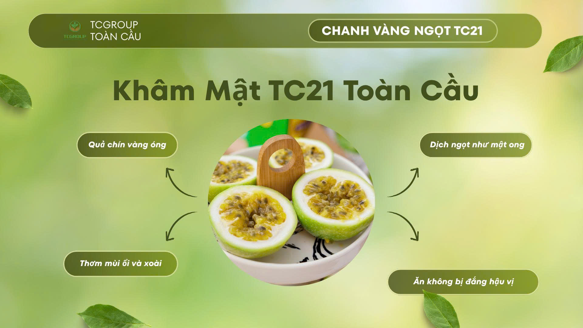 những đặc điểm của Giống chanh leo vàng khâm mật tc21