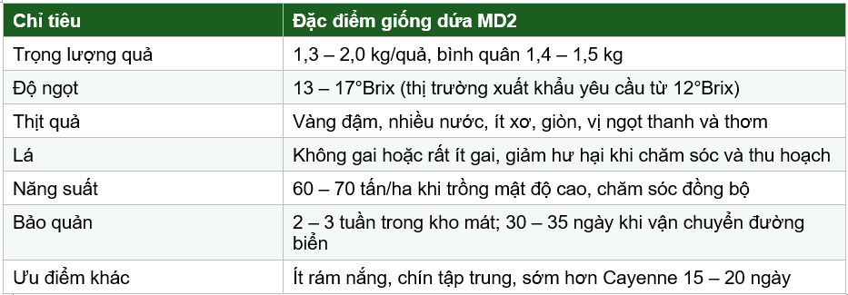 Đặc điểm nổi bật của giống dứa MD2