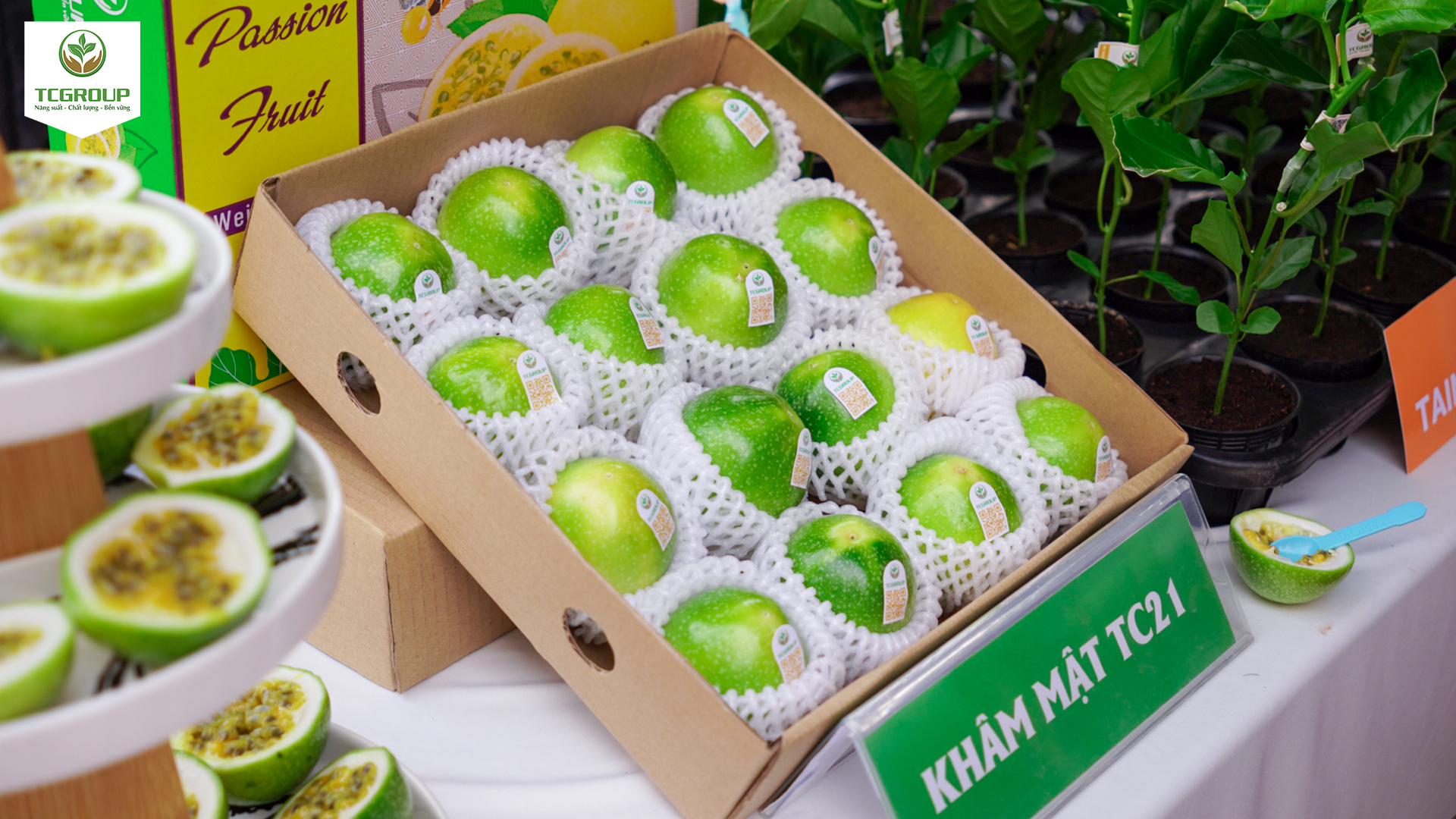 Giống chanh leo vàng khâm mật tc21