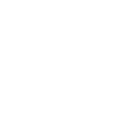 chất lượng vượt trội